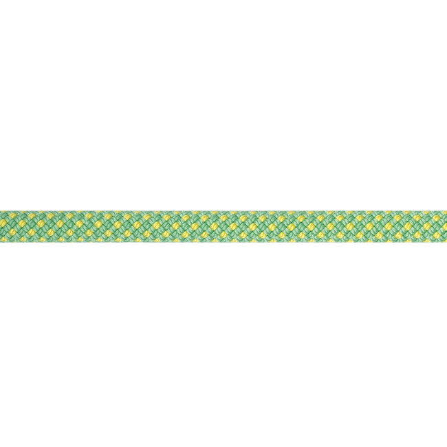 Beal Stinger Unicore corda da arrampicata 9,4 mm 80 m, anis