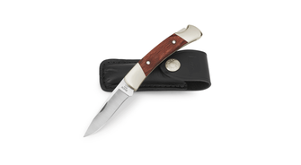 Buck Squire, coltello tascabile con fodero, 7 cm, marrone