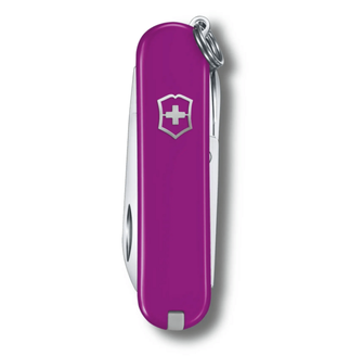 Coltello multifunzione Victorinox Classic SD Colors Tasty Grape, viola scuro, 7 funzioni, blist