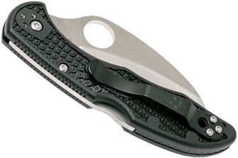 Spyderco Tasman Salt 2 coltello da pesca 7,4 cm, nero, FRN