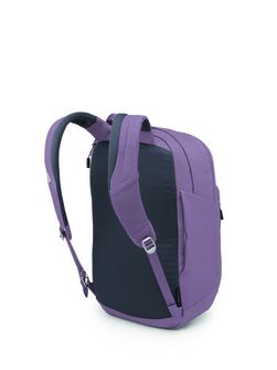 OSPREY Zaino da città ARCANE XL,  purple dusk heather