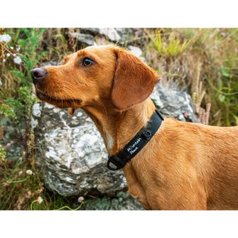 Collare per cani Mountain Paws, nero