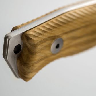 Pugnale medio lungo Lionsteel con manico in legno d&#039;ulivo. M5 UL