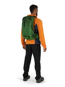 Zaino da trekking OSPREY TALON 22,  green belt/black