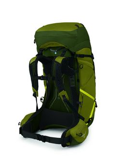 OSPREY Zaino da trekking ATMOS AG LT 65,  scenic valley/green peppercorn