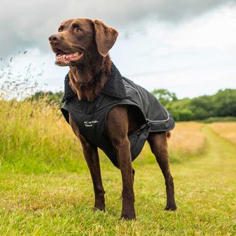 Mantellina Mountain Paws per cani di taglia media