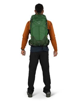 OSPREY Zaino da trekking STRATOS 24,  seaweed/matcha green