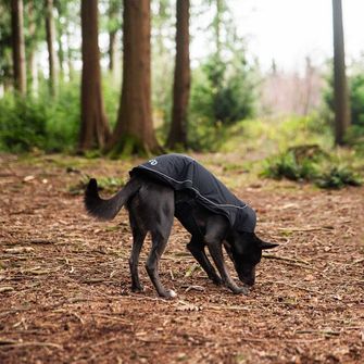 Mantellina Mountain Paws per cani di taglia media