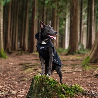 Mantellina Mountain Paws per cani di taglia media