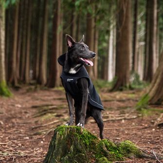 Mantellina per cani Mountain Paws grande