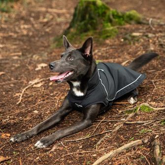 Mantellina Mountain Paws per cani di taglia media