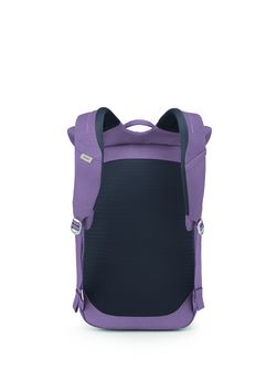 OSPREY Zaino da città ARCANE ROLL TOP PACK,  purple dusk heather