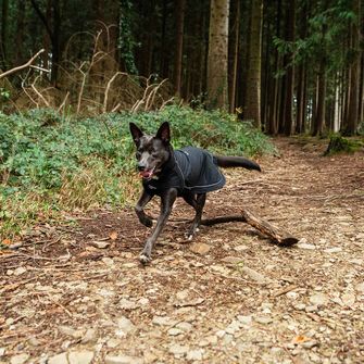 Mantellina Mountain Paws per cani di taglia media