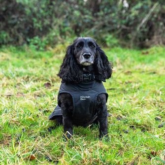 Mantellina Mountain Paws per cani di taglia media