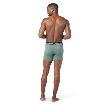 Smartwool Boxer da uomo M MERINO BOXER BRIEF BOXED, salvia