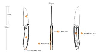 Coltello di chiusura Ruike P831-SF