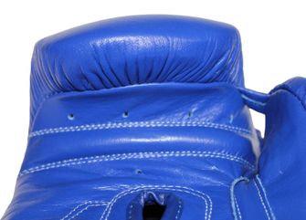 Guantoni da boxe Katsudo Professional II, blu