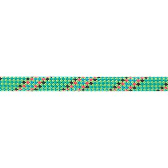 Beal corda dinamica Tiger Unicore 10 mm, verde 50 m